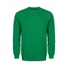 EXCD Sweat Unisexe - G8/green (5077_G1_H_W_.jpg)