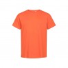 T-shirt Premium Bio grandes tailles Hommes - FL/flame (3090_G1_B_H_.jpg)
