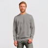Sweatshirt 80-20 Men - NW/new light grey (2199_E1_Q_OE.jpg)
