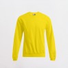 Sweat 80-20 grandes tailles Hommes - GQ/gold (2199_F1_B_D_.jpg)