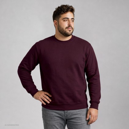 Sweatshirt 80-20 Plus Size Männer - BY/burgundy (2199_F1_F_M_.jpg)