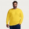 Sweat Premium grandes tailles Hommes - GQ/gold (5099_F1_B_D_.jpg)