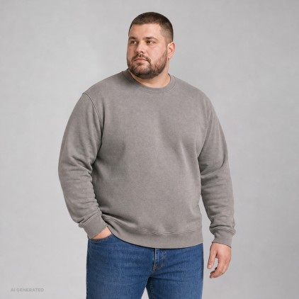Premium Sweatshirt Plus Size Männer - 03/sports grey (5099_F1_G_E_.jpg)