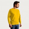 Sweat 80-20 Hommes - GQ/gold (2199_E1_B_D_.jpg)