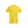 Basic T-shirt Men - GQ/gold (images1090_G3_B_D_.jpg)