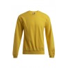 Sweat 80-20 Hommes - GQ/gold (images2199_G1_B_D_.jpg)