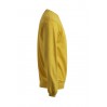 Sweat 80-20 Hommes - GQ/gold (images2199_G2_B_D_.jpg)