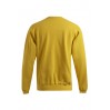 Sweatshirt 80-20 Men - GQ/gold (images2199_G3_B_D_.jpg)