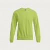 Sweatshirt 80-20 Männer - WL/wild lime (images2199_G1_C_AE.jpg)