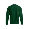 Sweatshirt 80-20 Männer - RZ/forest (images2199_G3_C_E_.jpg)