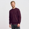 Sweat 80-20 Hommes - BY/burgundy (images2199_E1_F_M_.jpg)