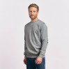 Sweatshirt 80-20 Men - 03/sports grey (images2199_E1_G_E_.jpg)