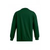 Troyer Sweatshirt Plus Size Men - RZ/forest (images5050_G3_C_E_.jpg)