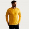 Premium Sweatshirt Men - GQ/gold (images5099_E1_B_D_.jpg)