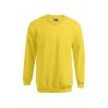 Premium Sweatshirt Men - GQ/gold (images5099_G1_B_D_.jpg)