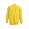 Sweat Premium grandes tailles Hommes - GQ/gold (images5099_G3_B_D_.jpg)