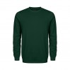 EXCD Sweat grandes tailles Unisexe - RZ/forest (images5077_G1_C_E_.jpg)