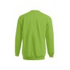 Sweat Premium Hommes - LG/lime green (images5099_G3_C___.jpg)