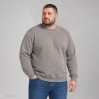 Sweat Premium grandes tailles Hommes - 03/sports grey (images5099_F1_G_E_.jpg)