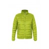 Veste doudoune C+ grandes tailles Hommes - LM/lime (images7621_G1_C_S_.jpg)